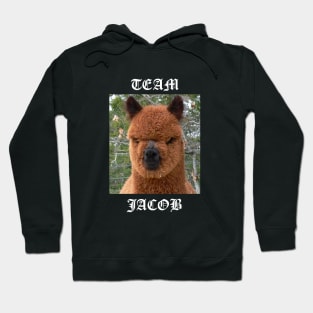 Team Jacob Hoodie